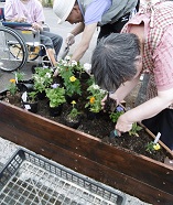 花植え